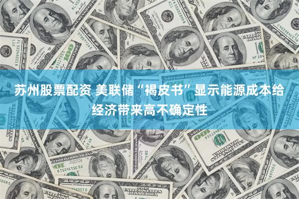 苏州股票配资 美联储“褐皮书”显示能源成本给经济带来高不确定性