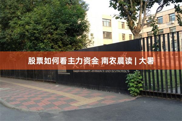 股票如何看主力资金 南农晨读 | 大暑