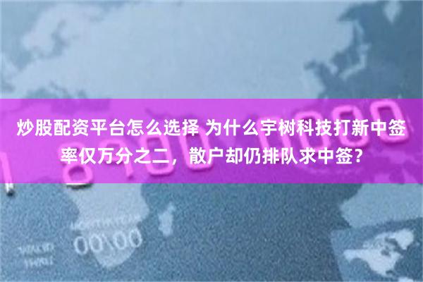 炒股配资平台怎么选择 为什么宇树科技打新中签率仅万分之二，散户却仍排队求中签？