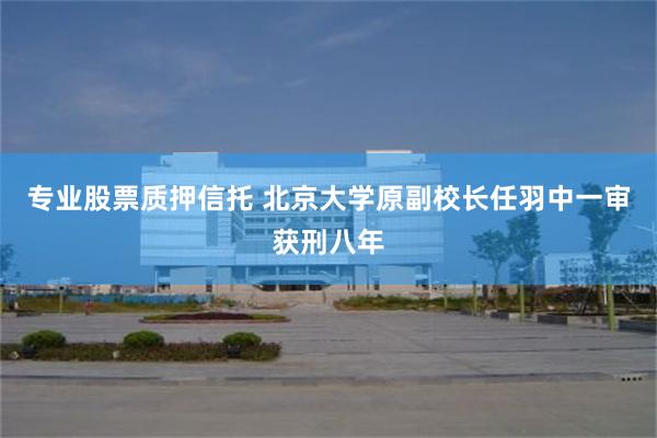 专业股票质押信托 北京大学原副校长任羽中一审获刑八年