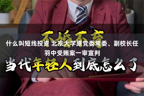 什么叫短线投资 北京大学原党委常委、副校长任羽中受贿案一审宣判