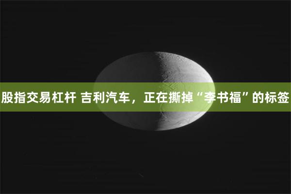 股指交易杠杆 吉利汽车，正在撕掉“李书福”的标签
