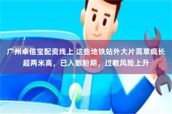 广州卓信宝配资线上 这些地铁站外大片蒿草疯长超两米高，已入散粉期，过敏风险上升