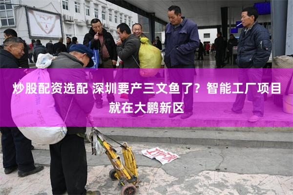炒股配资选配 深圳要产三文鱼了？智能工厂项目就在大鹏新区