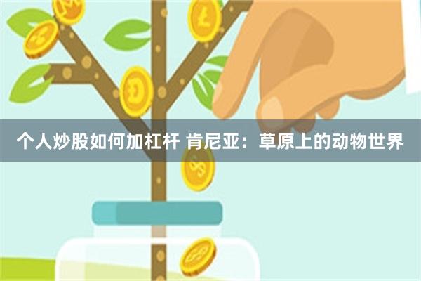 个人炒股如何加杠杆 肯尼亚:草原上的动物世界