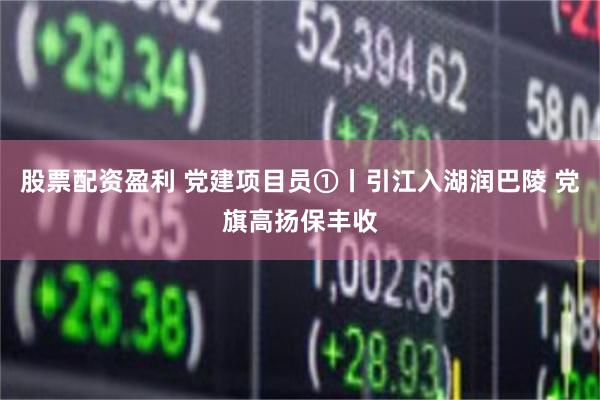 股票配资盈利 党建项目员①丨引江入湖润巴陵 党旗高扬保丰收