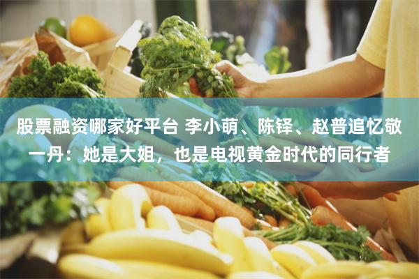 股票融资哪家好平台 李小萌、陈铎、赵普追忆敬一丹：她是大姐，也是电视黄金时代的同行者