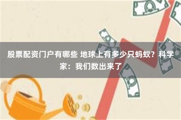 股票配资门户有哪些 地球上有多少只蚂蚁？科学家：我们数出来了