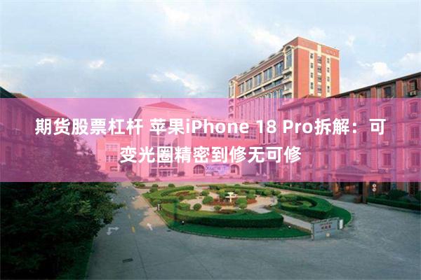 期货股票杠杆 苹果iPhone 18 Pro拆解：可变光圈精密到修无可修