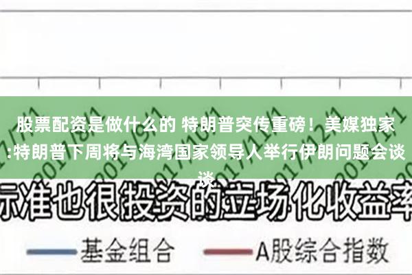 股票配资是做什么的 特朗普突传重磅!美媒独家:特朗普下周将与海湾国家领导人举行伊朗问题会谈